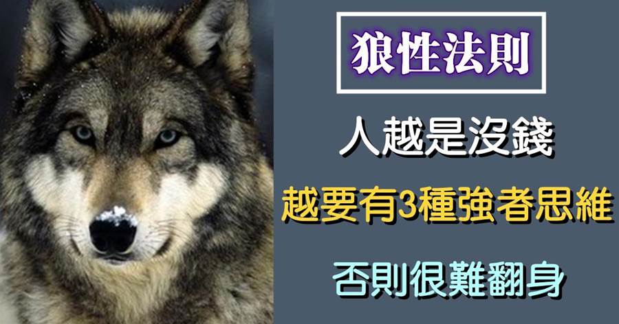 狼性法則：人越是沒錢，越要有3種強者思維，否則很難翻身