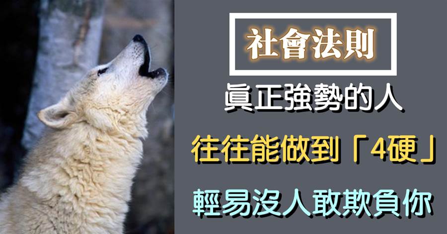真正強勢的人，往往能做到「4硬」，輕易沒人敢欺負你