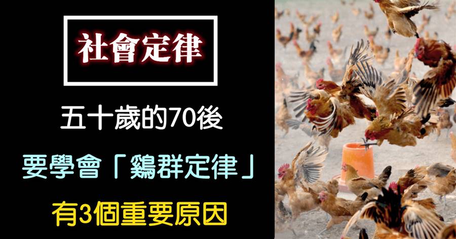 五十歲的70后，要學會「雞群定律」，有3個重要原因